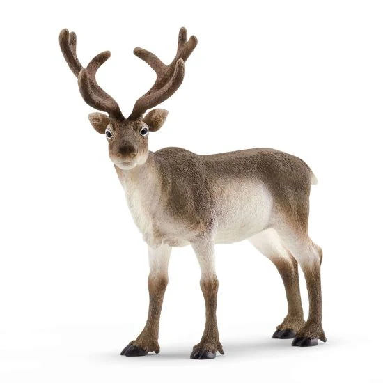 Schleich WILD LIFE – Reindeer 4.9 x 2.4 x 4.7 inch