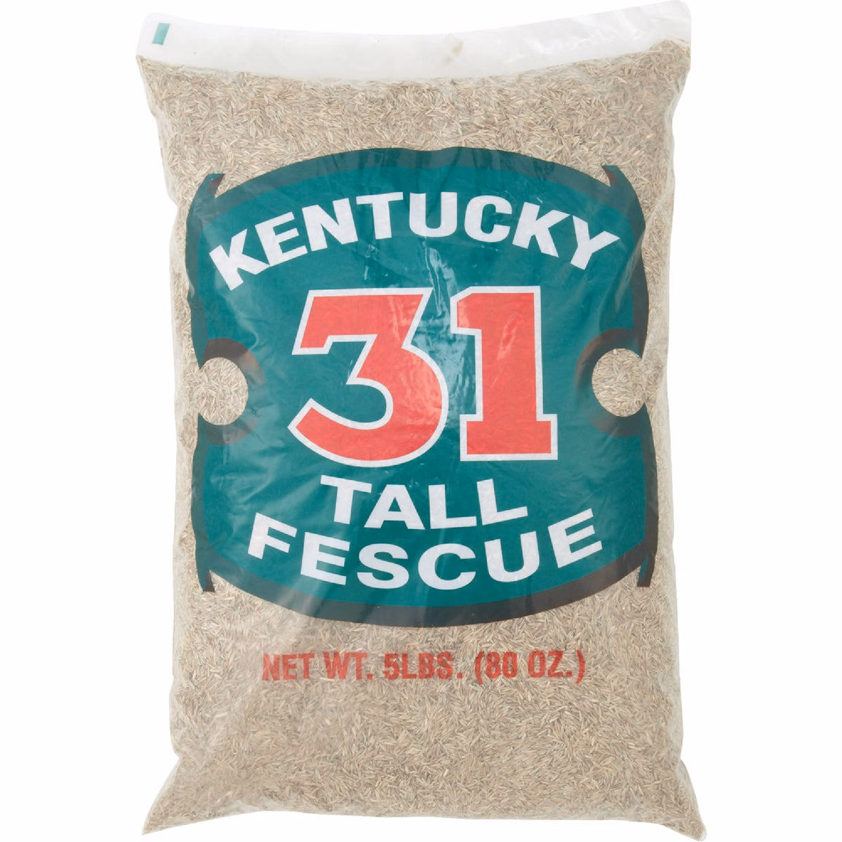Barenbrug 5 Lb. 1000 Sq. Ft. Coverage Kentucky 31 Tall Fescue Grass Seed