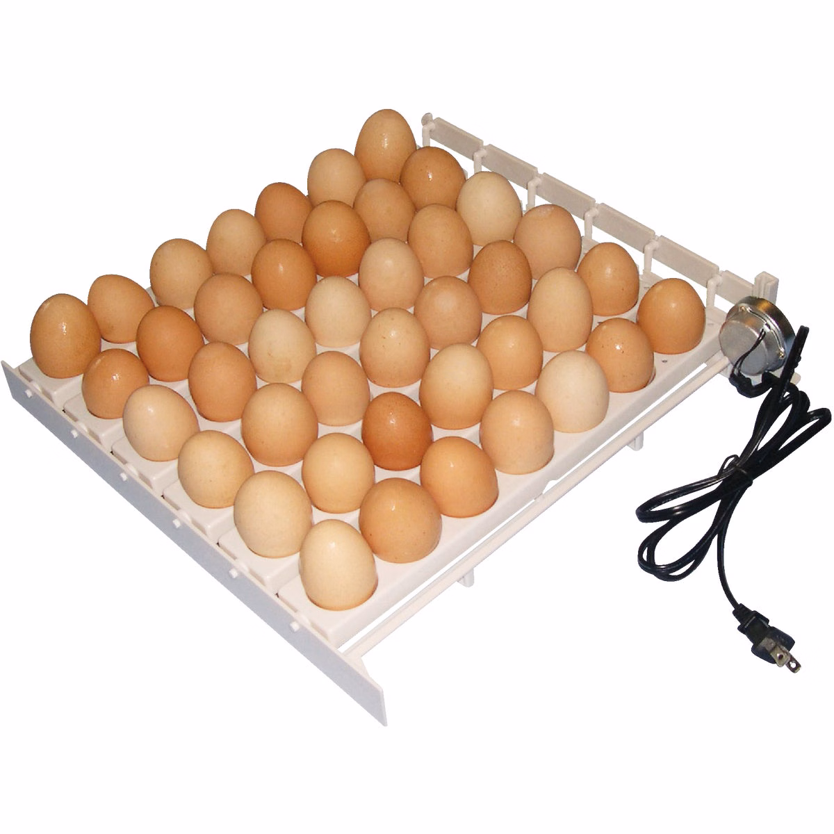 Farm Innovators 41-Egg Capacity 120V Automatic Egg Turner