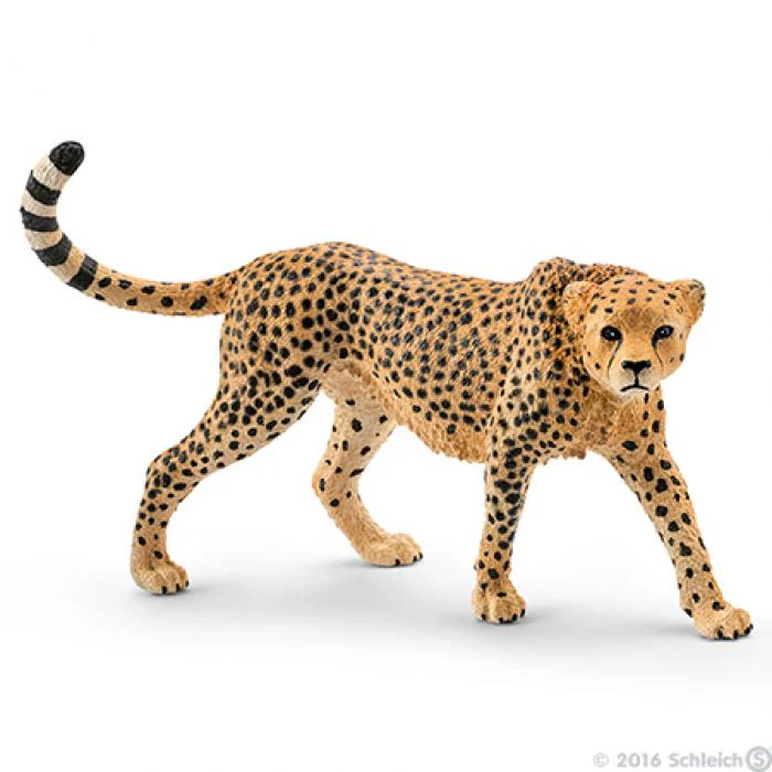 Schleich WILD LIFE – Cheetah, female