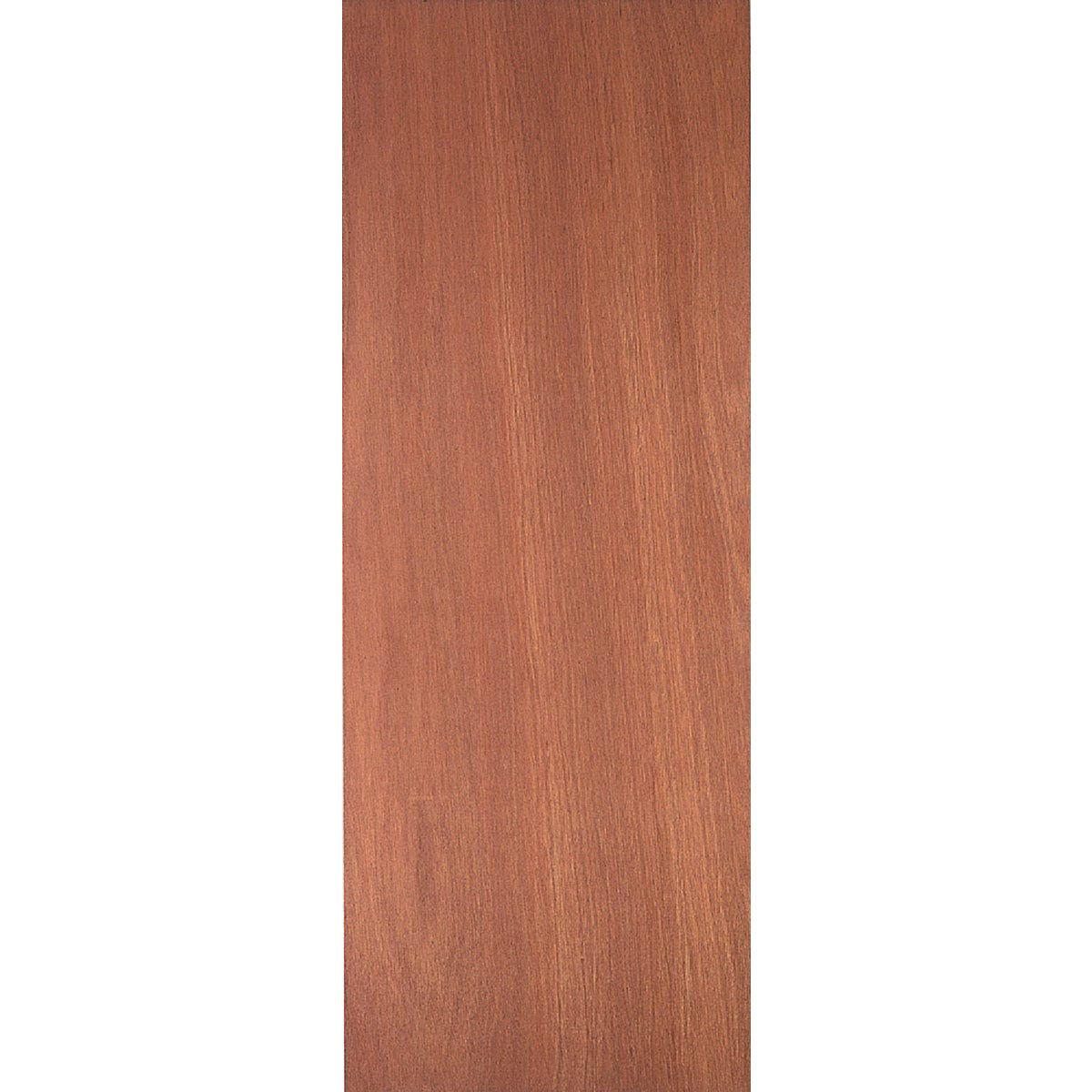 Masonite 32 In. W. x 80 In. H. Lauan Wood Interior Hollow Core Door Slab