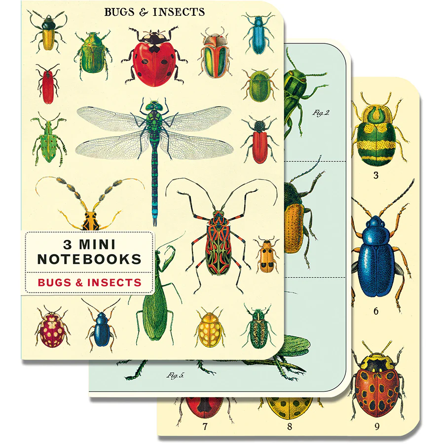Cavallini Mini Notebooks – Bugs & Insects – 96 pages 4″ x 5.5″ (10 cm x 14 cm)