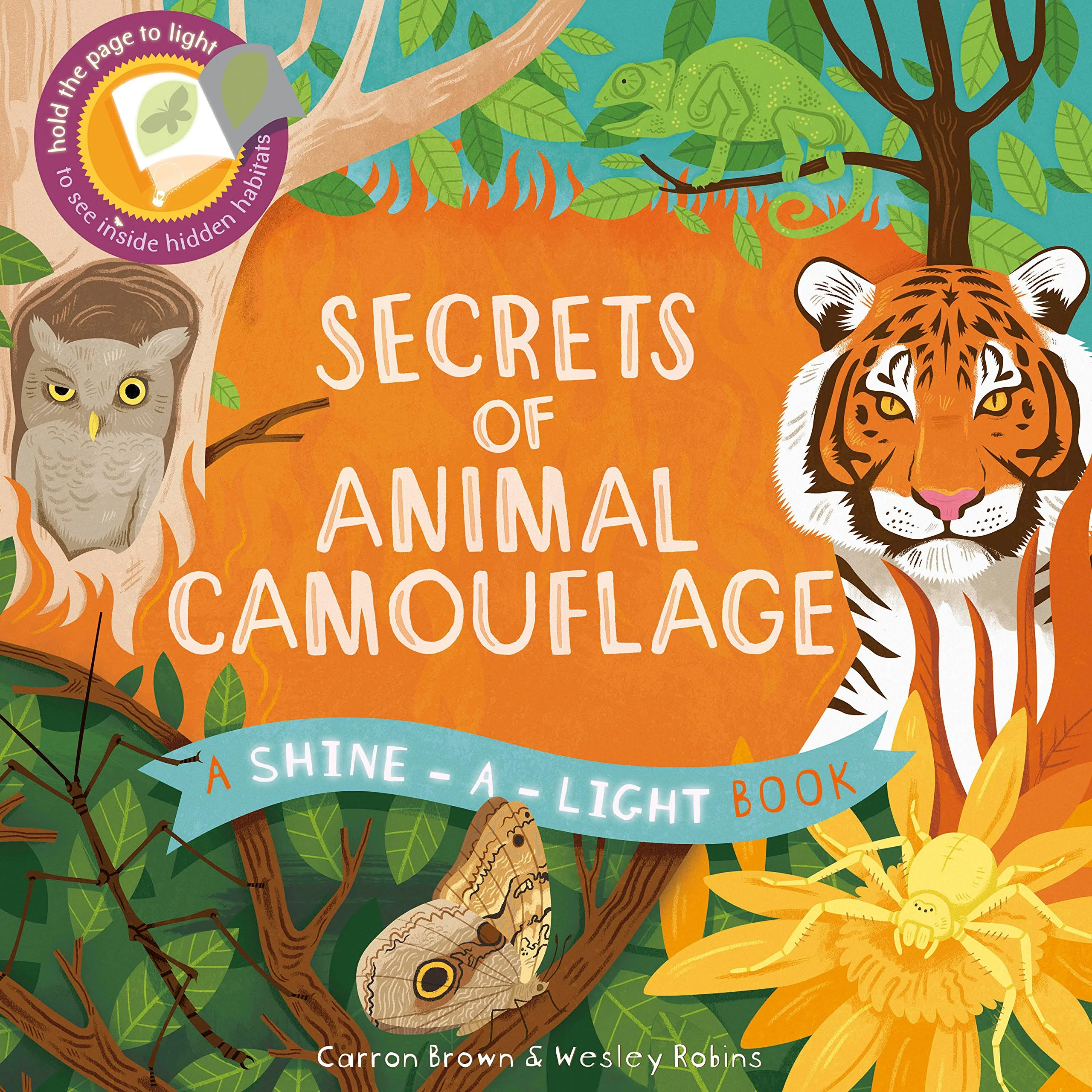 USBORNE Shine-a-Light – Secrets of Animal Camouflage