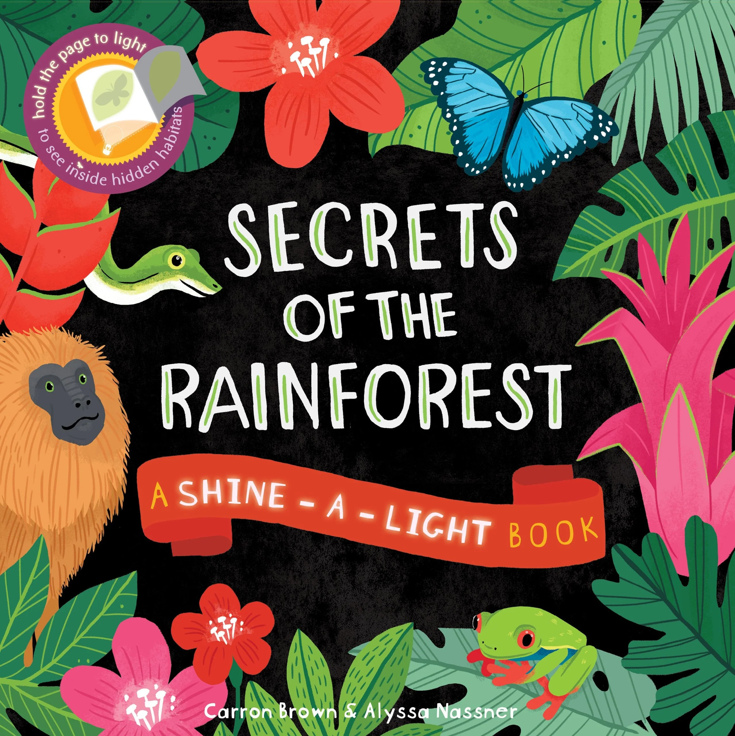 USBORNE Shine-a-Light – Secrets of The Rain Forest