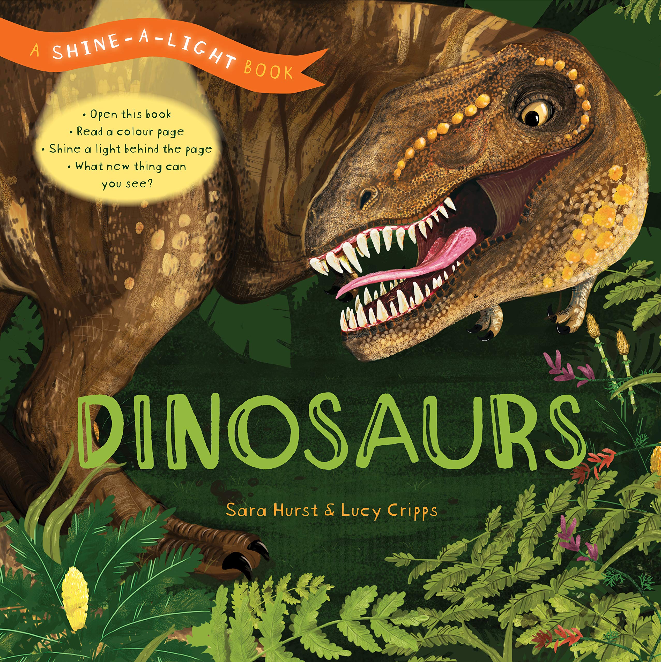 USBORNE Shine-a-Light – Dinosaurs